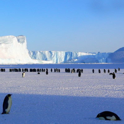 Antarctica Cruise