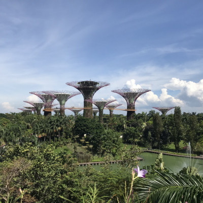 Bali En Singapore Wm (169)