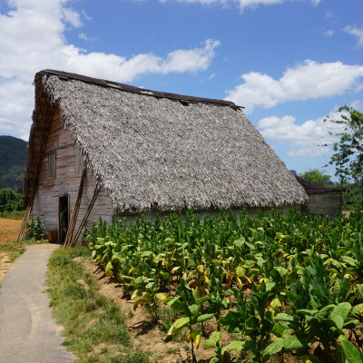 Cuba Vinales