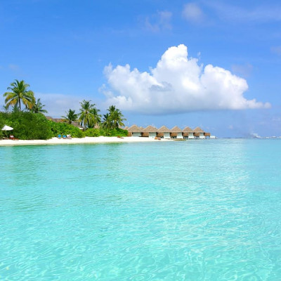 Four Seasons Resort