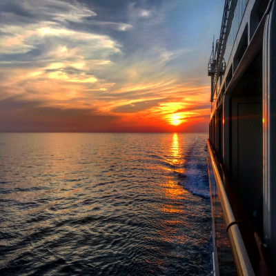 cruise met MSC