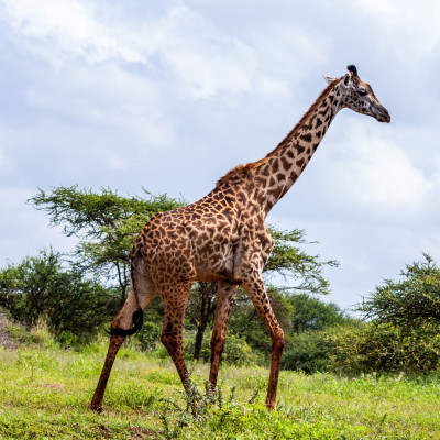 Lake Manyara National Park