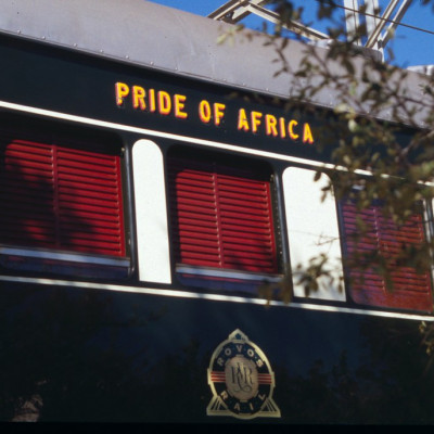 Pride Of Africa