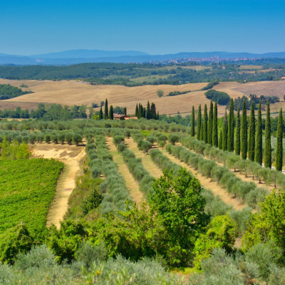 Toscane