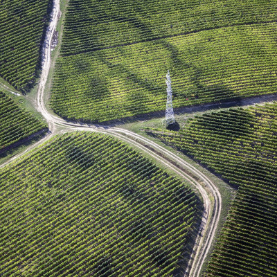 World Most Beautiful Wine Regions