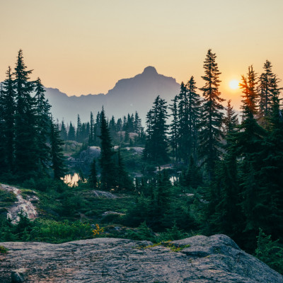 Https Unsplash.com Photos Helwtuan3c