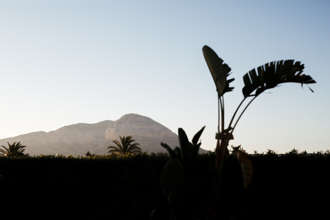 2019 06 15 Inauguracion The Adelante House Iah0254 Gonzalo Moreno