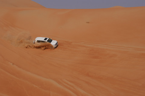 Abu Dhabi Qasr Al Sarab (29)