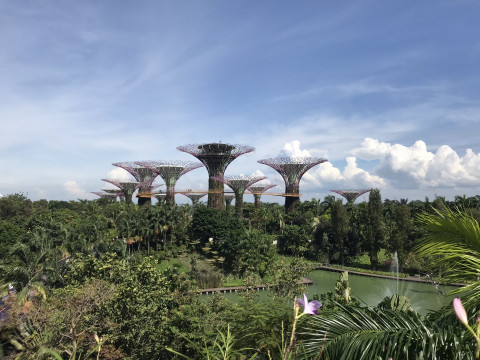 Bali En Singapore Wm (169) 2