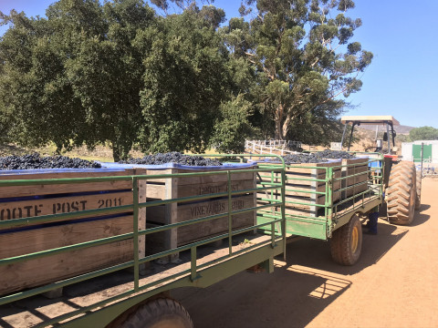 Culinair Zuid Afrika (165)