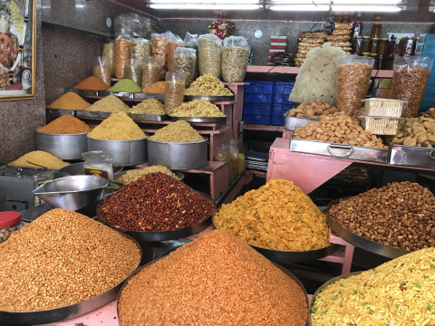 Cycling In Jaipur (1)