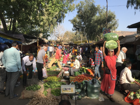 Cycling In Jaipur (12)