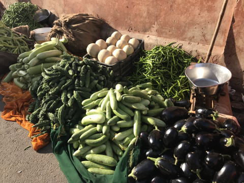 Cycling In Jaipur (5)