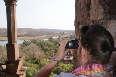 Day 4 Fort Ramthambore (11)