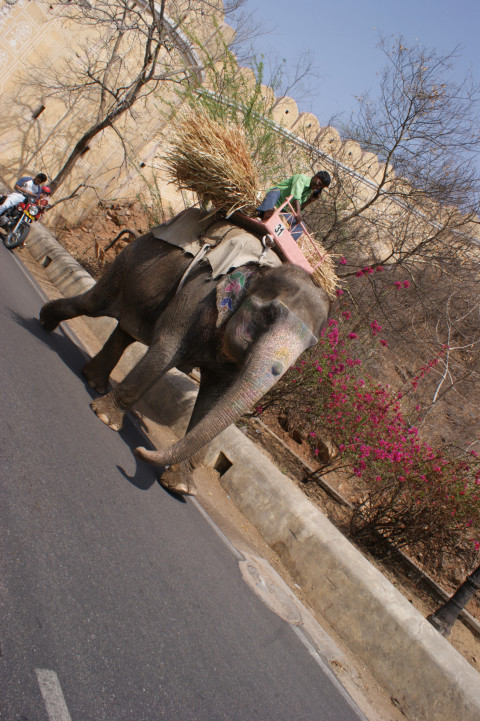 Day 6 On The Road Jaipur (4)