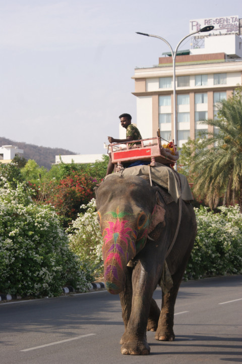 Day 6 On The Road Jaipur (7)