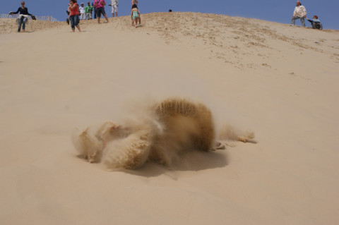 Dune De Pilat 3