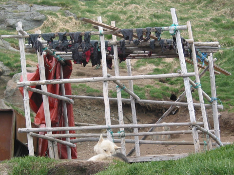 Ijsland Fly & Drive (251)