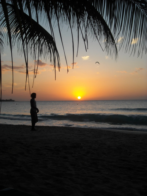 Jamaica 5