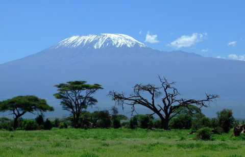 Kilimanjaro 2
