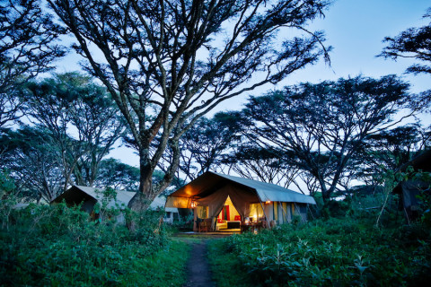 Lemala Ngorongoro Camp 2