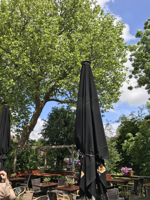 Loosdrechtse Plassen (5)