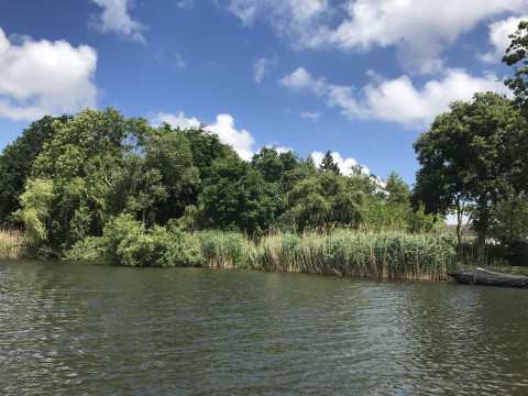 Loosdrechtse Plassen (7)