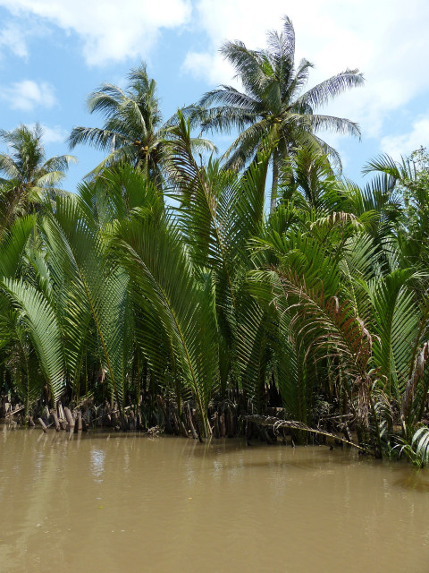 Mekong Cruise (5) 2
