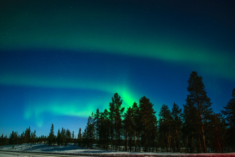 Noorderlicht Lapland