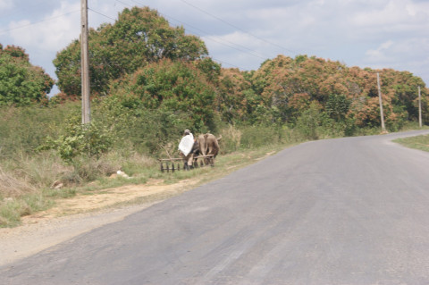Onderweg Naar Vinales Cuba (3)