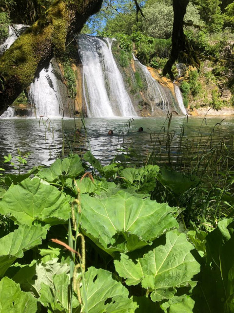 Photo 2019 06 09 14 05 09 (002)