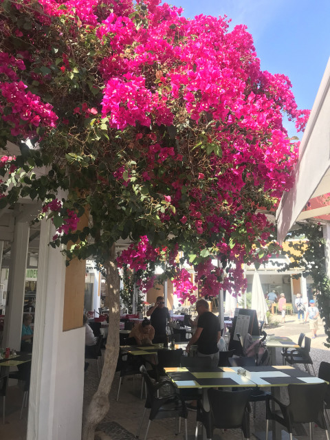 Portugal Algarve (31)