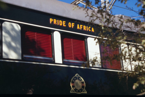 Pride Of Africa