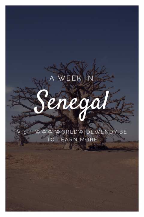 Een Week In Senegal Worldwidewendy