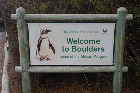 Zuid Afrika Boulders (5)