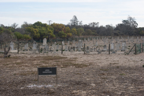 Zuid Afrika Robbeneiland (4)