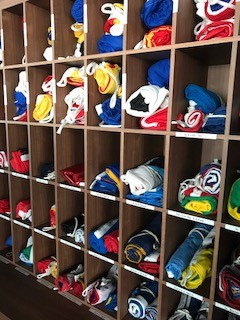 Ms Koningsdam Brug (2)