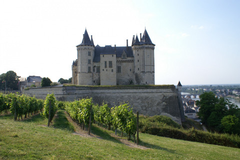 Saumur