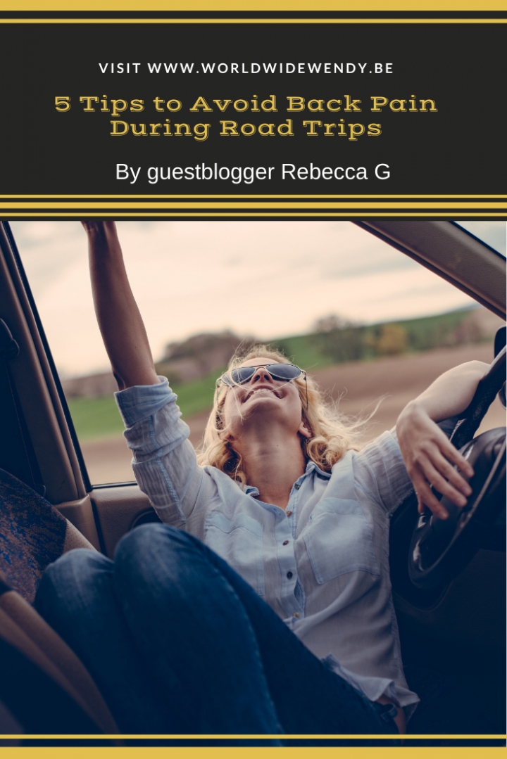 5 Tips To Avoid Back Pain During Road Trips