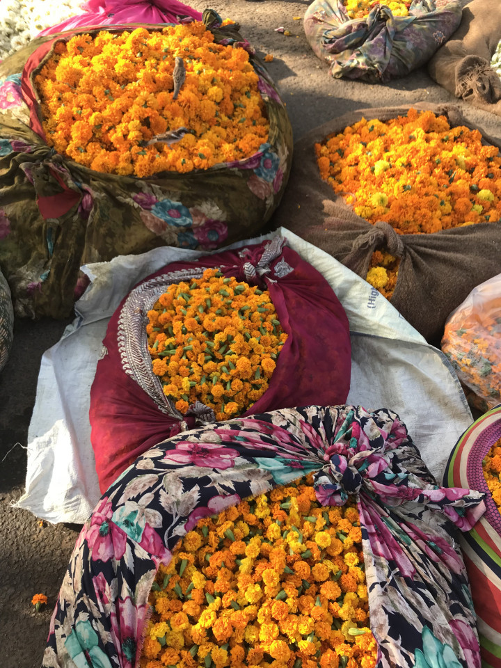 Cycling In Jaipur (9)