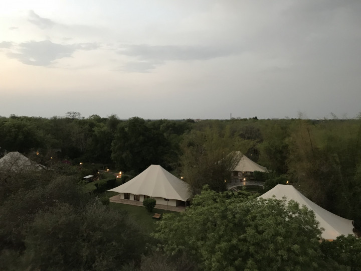 Day 2 Oberoi Vanyavilas Ranthambore (15)