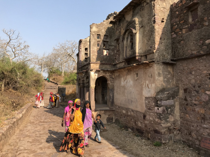 Day 3 Ranthambore Fort (2)