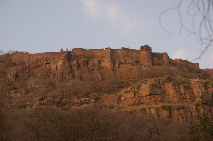 Day 4 Fort Ramthambore (6)