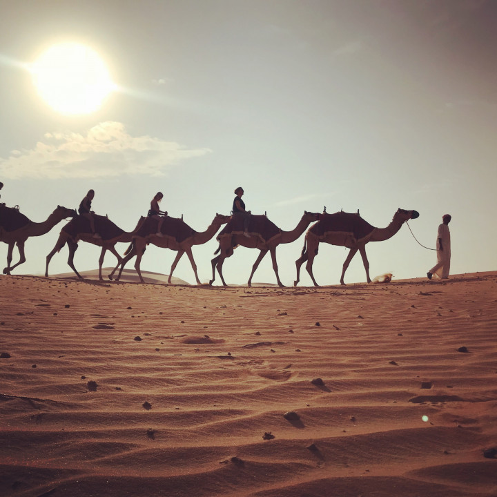 Dag 2 Qasr Al Sarab Abu Shabi (14)