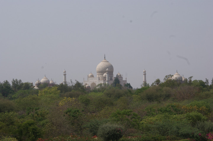 Day 1 Oberoi Amarvilas (14)