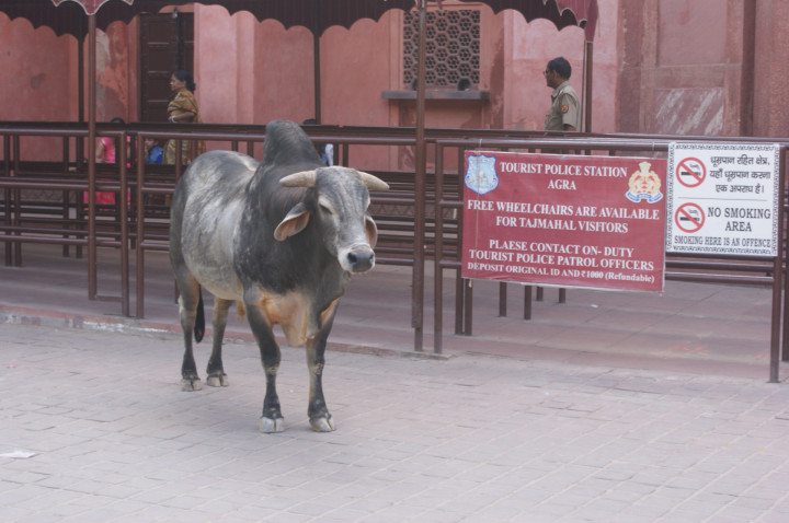 Day 1 On The Road (2)