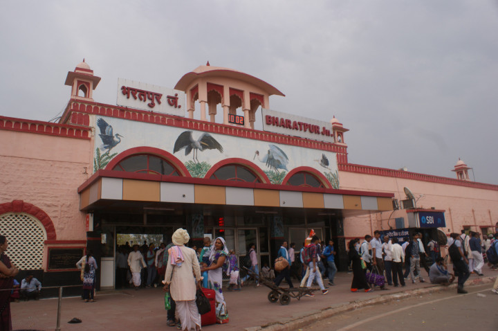 Day 2 Train To Ranthambore (2)