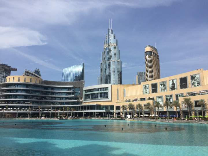 Daytrip Dubai (13)