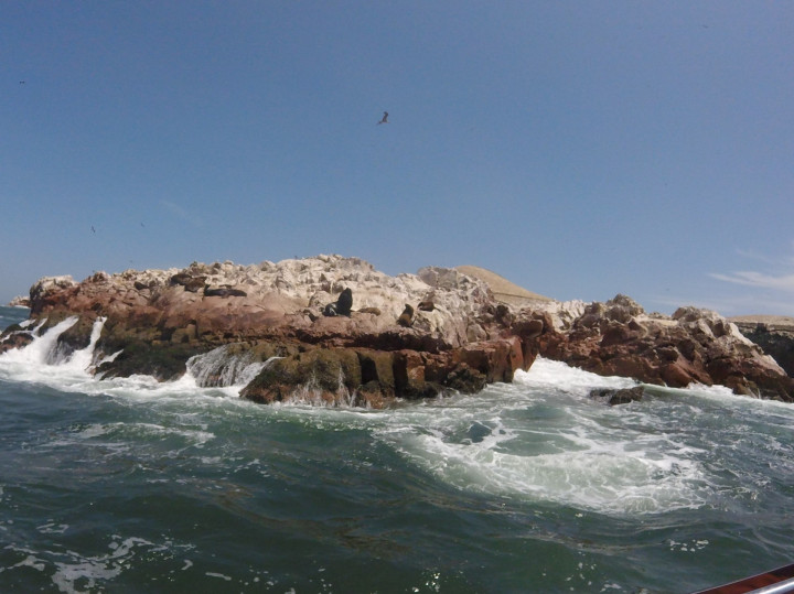 Islas Ballestas 3