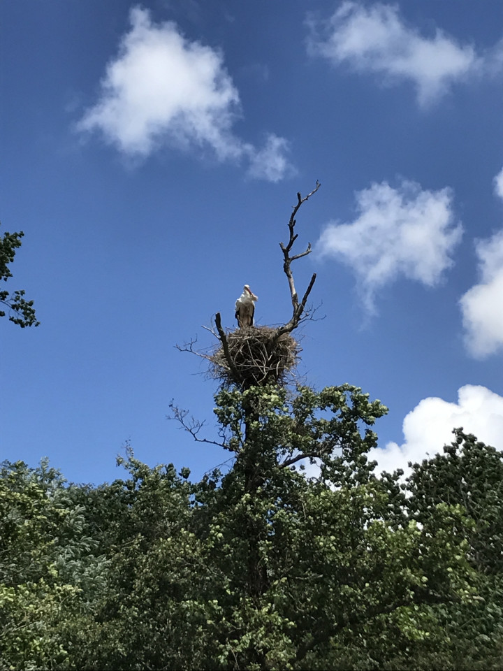Loosdrechtse Plassen (10)